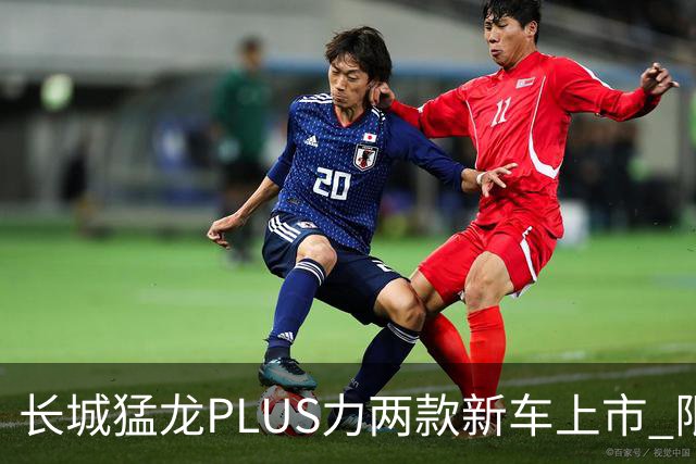 长城猛龙PLUS力两款新车上市 限时换新价17.78万元起